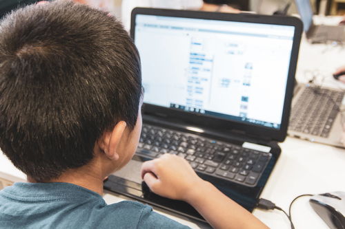 教育行业动态 美术宝拓展音乐AI课，精锐教育与红黄蓝发布财报